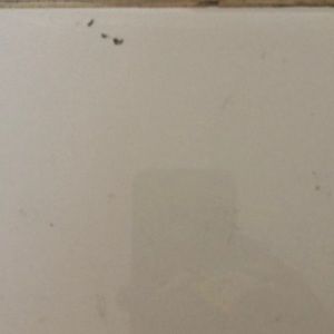 Meet your Posher, Leon